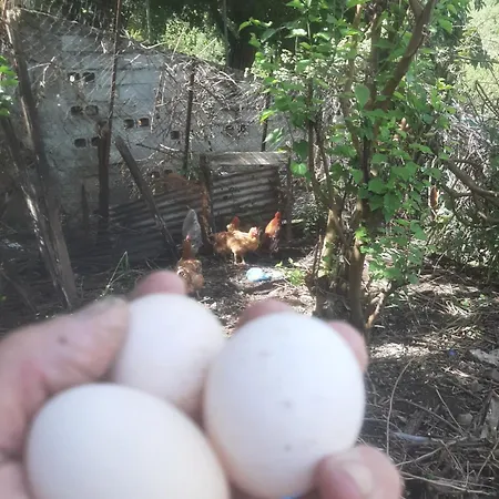 ραχουλα παραδοσιακό 公寓